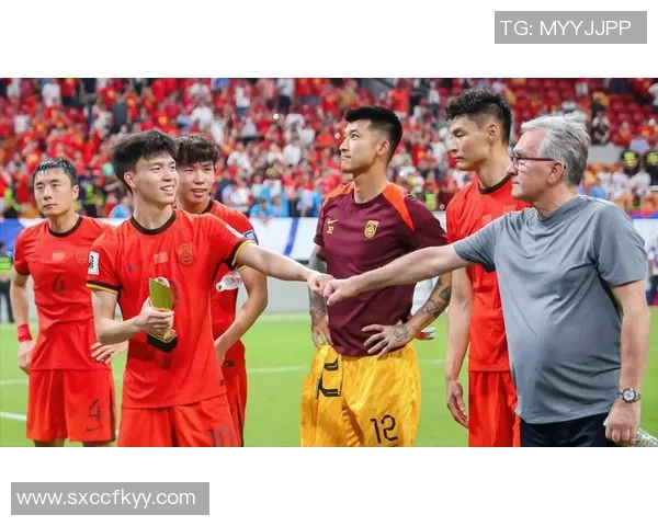 上海排球队技术争议引发热议球迷与专家各抒己见探讨战术与表现