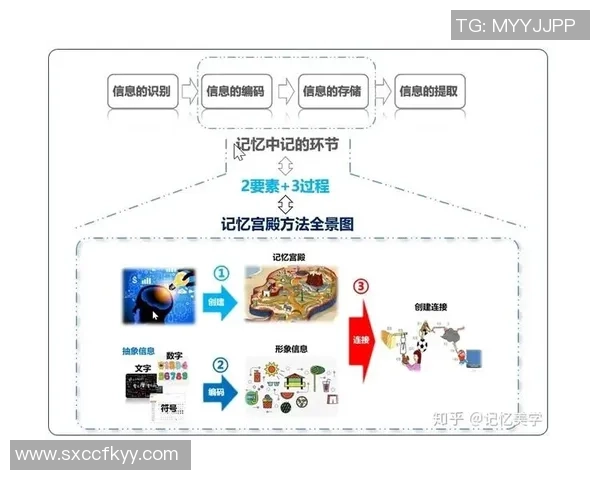 足球明星齐贤的职业生涯与个人成就全景解析 足球明星齐贤的职业生涯与个人成就全景解析