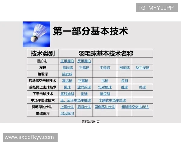 杭州羽毛球队在世界锦标赛中的默契配合与战术分析