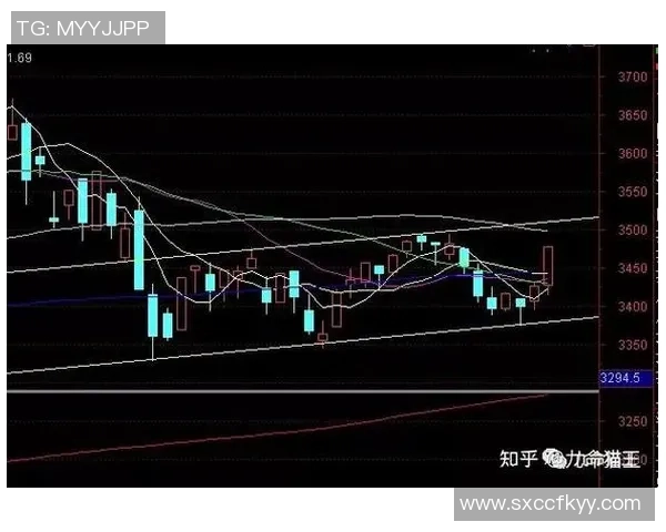 武汉篮球队与广州篮球队赛后状态分析与复盘总结