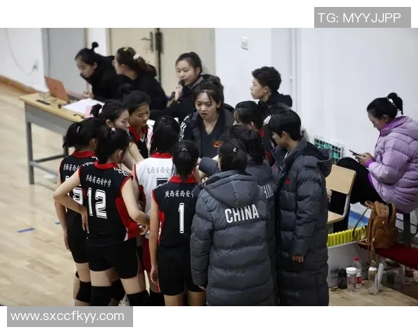 西安排球队强势崛起排球力量排行榜第三名引发关注