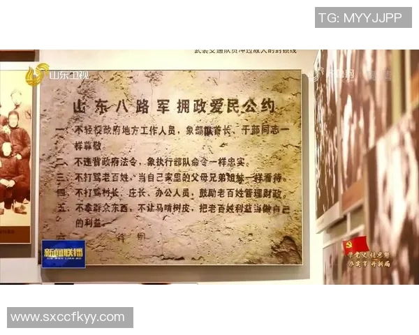 重庆乒乓球队的崛起之路与奋斗精神的传承与发展