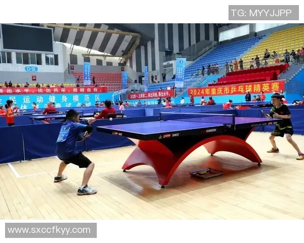 乒乓球的魅力与灵动重庆乒乓球队的灵活性深度解析与探讨