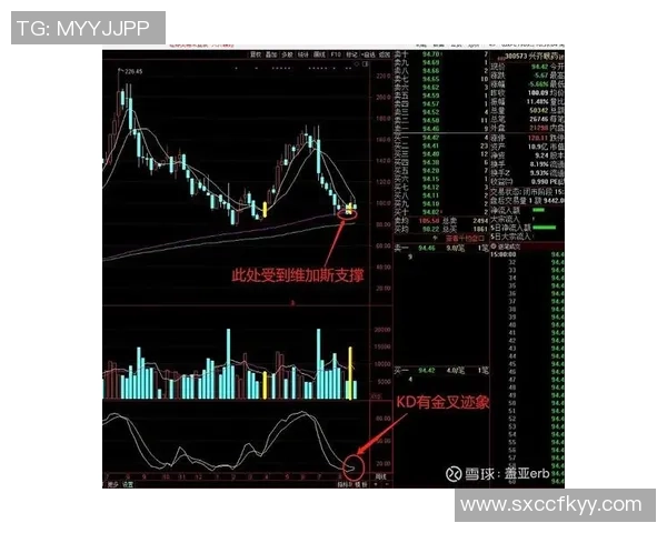 重庆足球队与杭州足球队赛后状态分析与复盘总结 重庆足球队与杭州足球队赛后状态分析与复盘总结