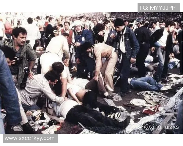 足球明星猝死事件背后的真相揭示与影响分析