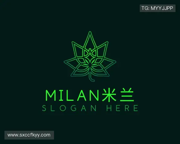 认识milan米兰