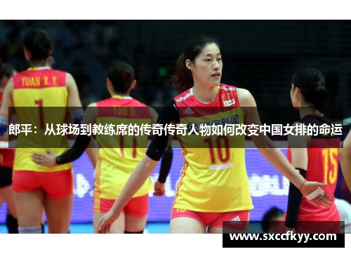 郎平：从球场到教练席的传奇传奇人物如何改变中国女排的命运