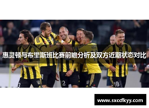 惠灵顿与布里斯班比赛前瞻分析及双方近期状态对比