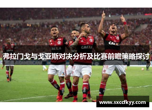 弗拉门戈与戈亚斯对决分析及比赛前瞻策略探讨